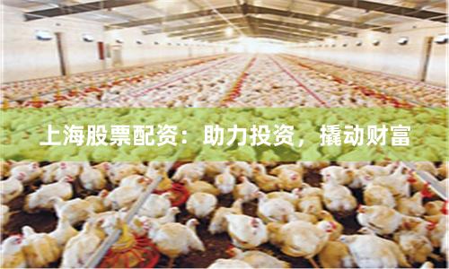 上海股票配资：助力投资，撬动财富
