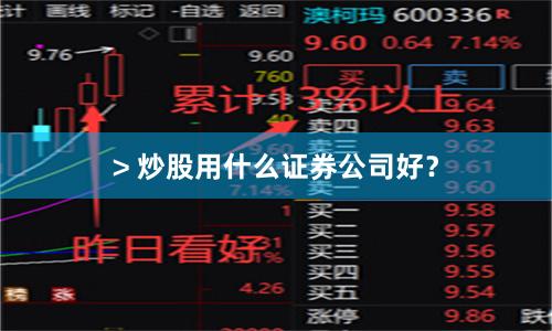 > 炒股用什么证券公司好？